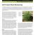 2011 Pecos NHP Exotic Plant Monitoring